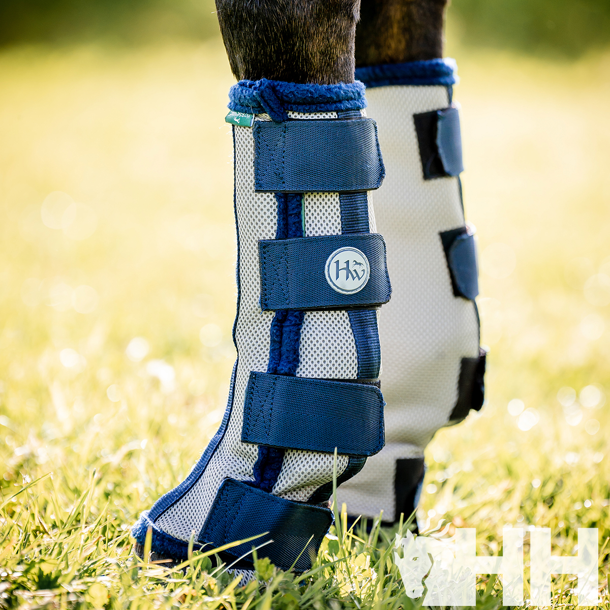 Botas protectoras azuis e brancas para pernas de cavalo num campo de relva