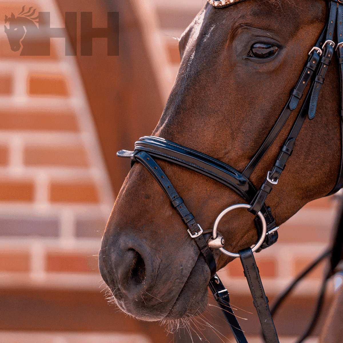 Cabeça de cavalo com arreio em couro preto junto a parede de tijolos com logótipo HH