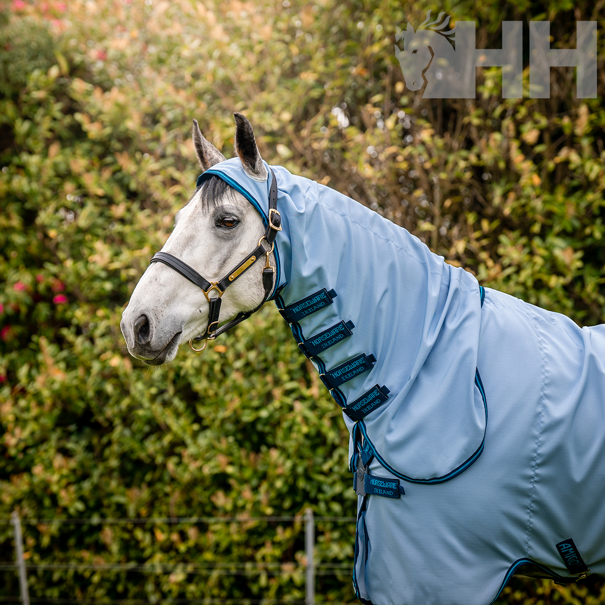 Cavalo com fuga azul clara e capuz protector coberto, ao ar livre
