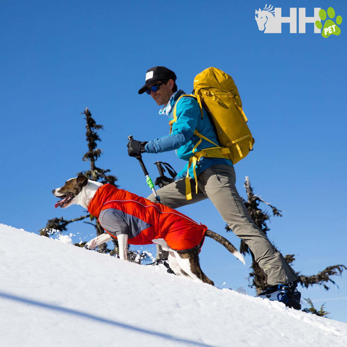 Cão com casaco laranja e homem com mochila amarela na neve
