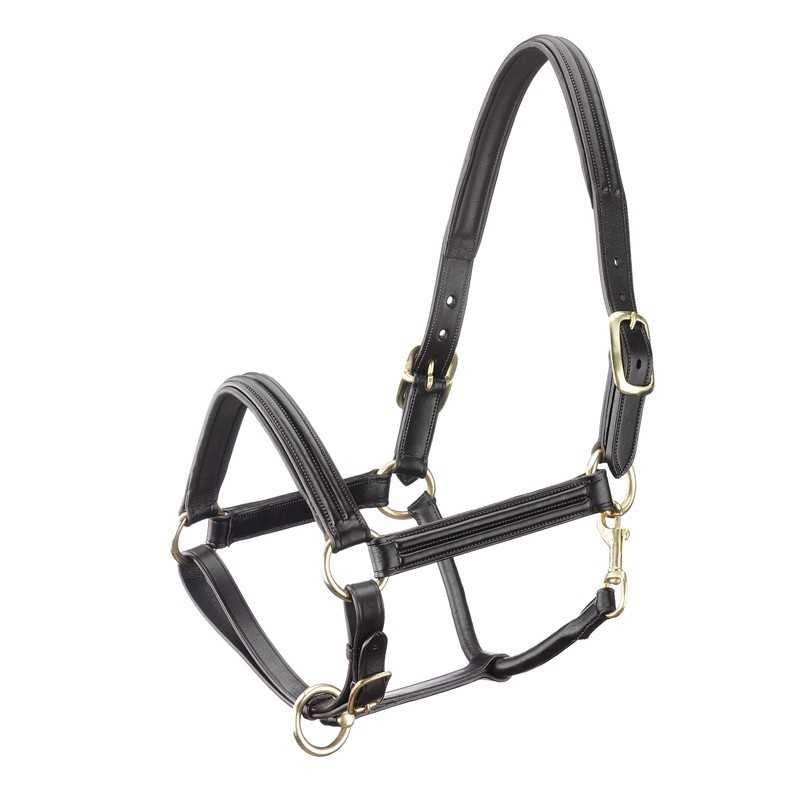 Cabresto de couro preto para cavalo com fivelas douradas