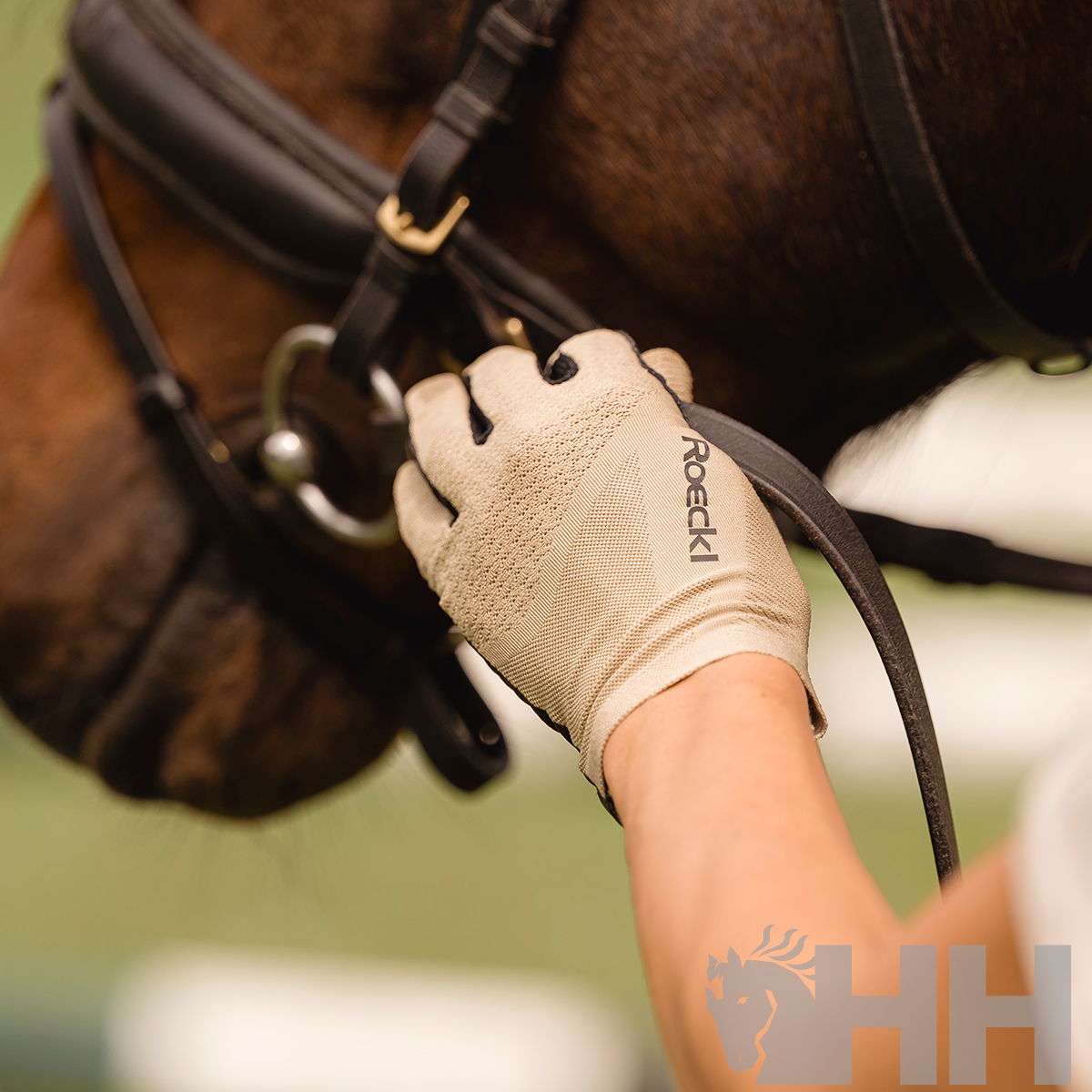 Mão com luva bege ROECKL a segurar rédeas pretas de cavalo castanho