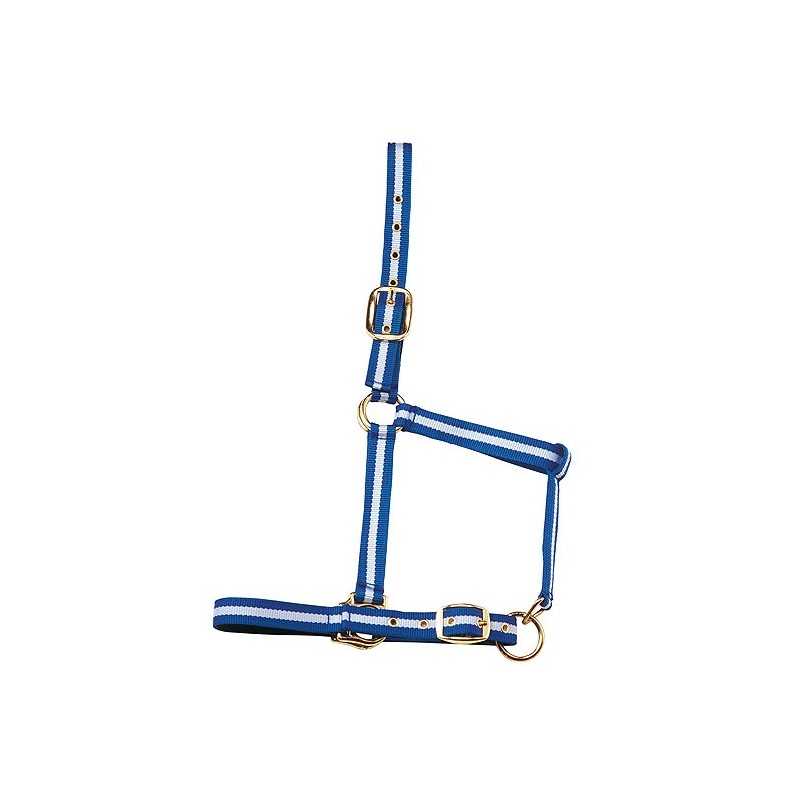 Cabresto para cavalo azul com riscas brancas