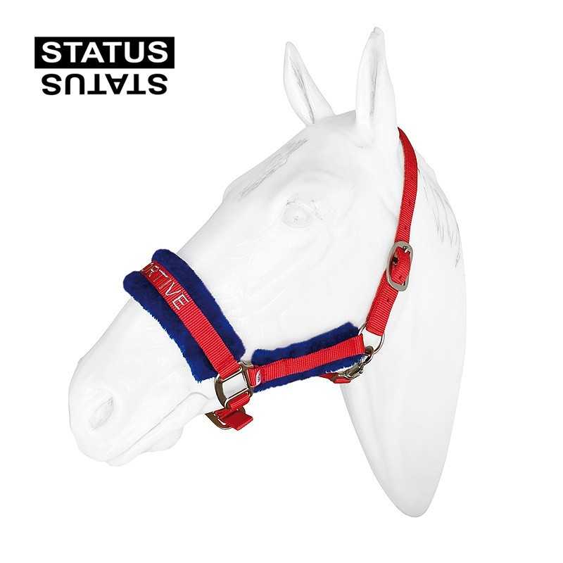 Cabresto de cavalo vermelho e azul com proteção acolchoada e texto ACTIVE