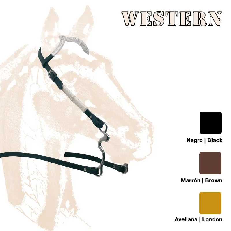 Equipamento de couro para cavalo com texto e paleta de cores