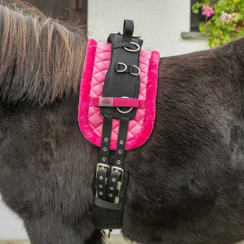 Almofada de montar rosa com correias pretas colocada num cavalo preto