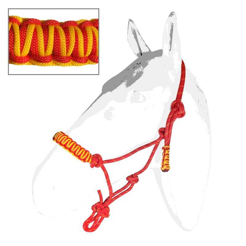 Cabresto de cavalo vermelho e amarelo entrelaçado sobre fundo branco