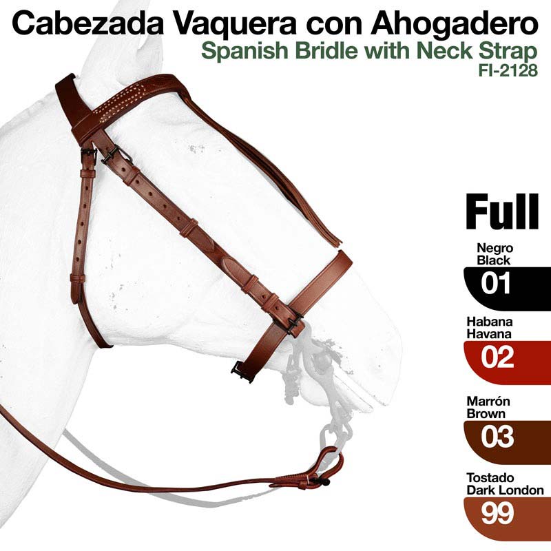 Cabeçada vaqueira castanha em cavalo branco com texto de cores e números