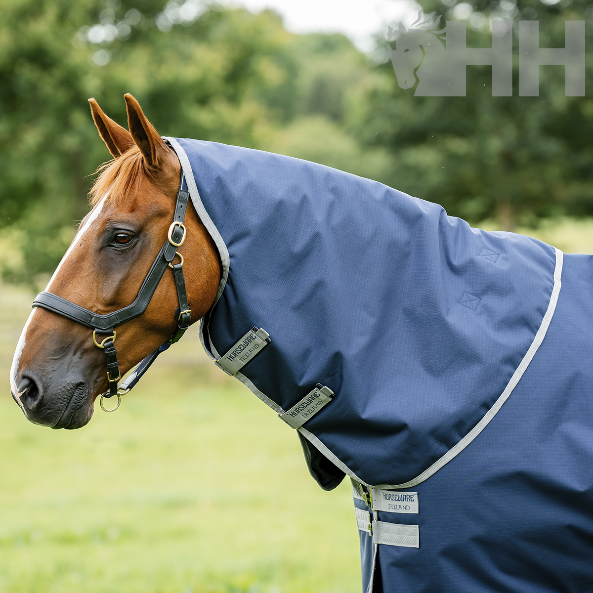 Cavalo com venda preta e manta azul e cinza com etiquetas HORSEWARE IRELAND no campo
