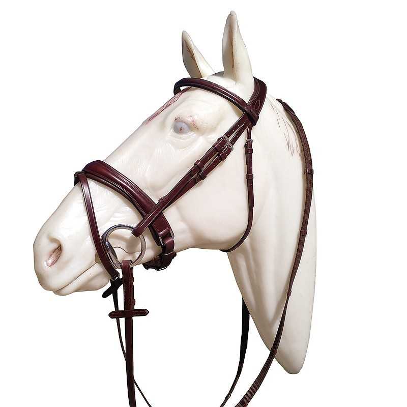 Cabeça de cavalo branco com cabresto e rédeas castanhas em fundo branco