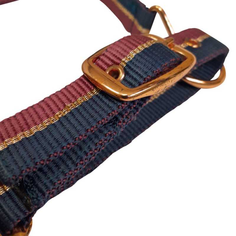 Colar para animal em tecido azul, vermelho e dourado com fivela e argola