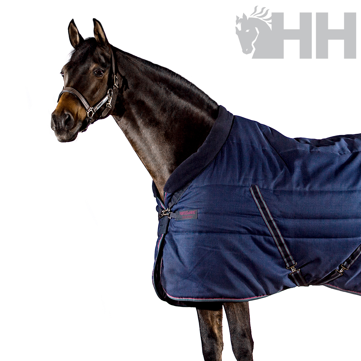 Cobertor azul escuro para cavalo com fechos metálicos e égua castanha