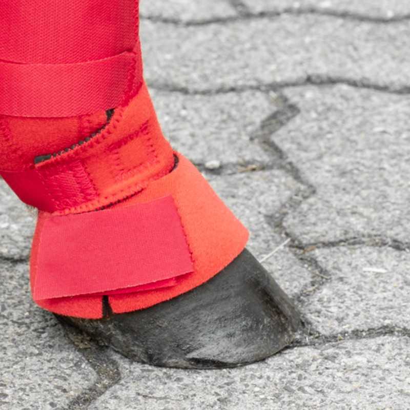 Casco de cavalo com proteção vermelha ajustável em pavimento cinzento