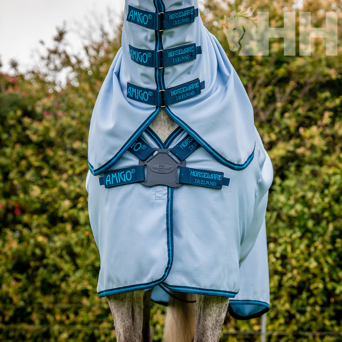 Cobertura azul para cavalo com faixas e textos 'AMIGO' e 'HORSEWARE IRELAND'