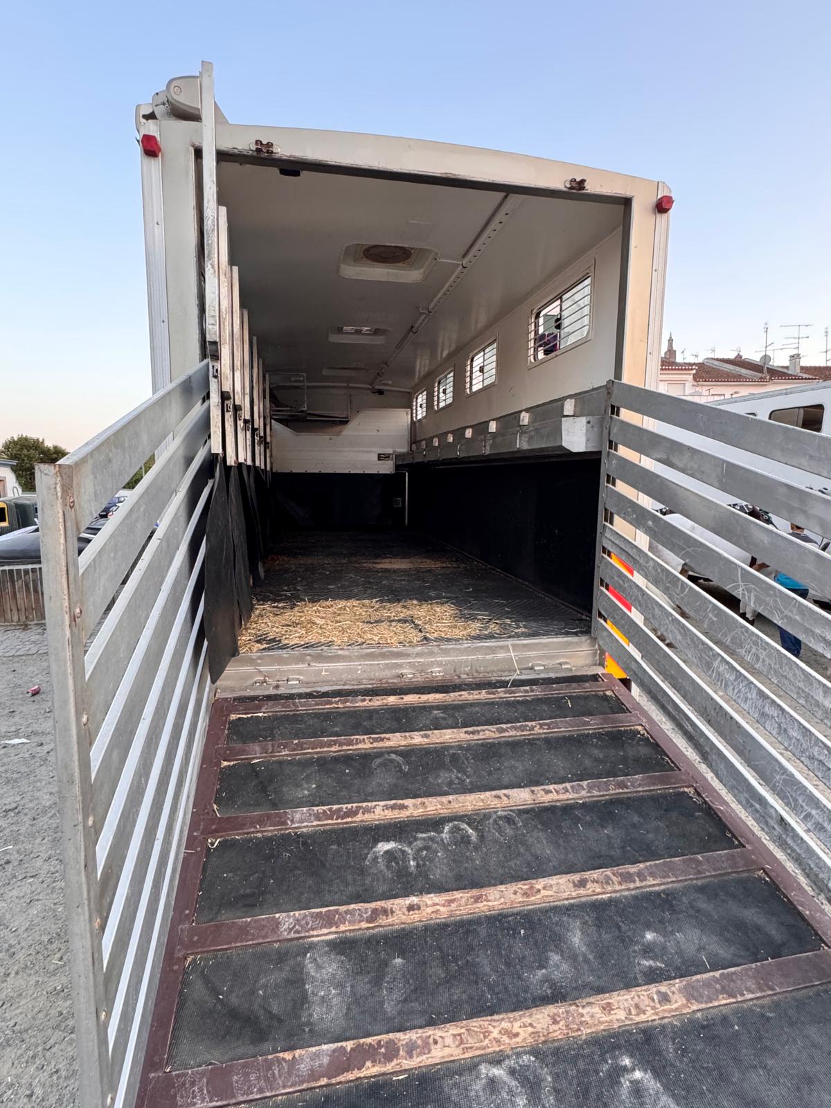 Interior de atrelado para transporte de animais com rampa aberta e paredes metálicas cinzentas