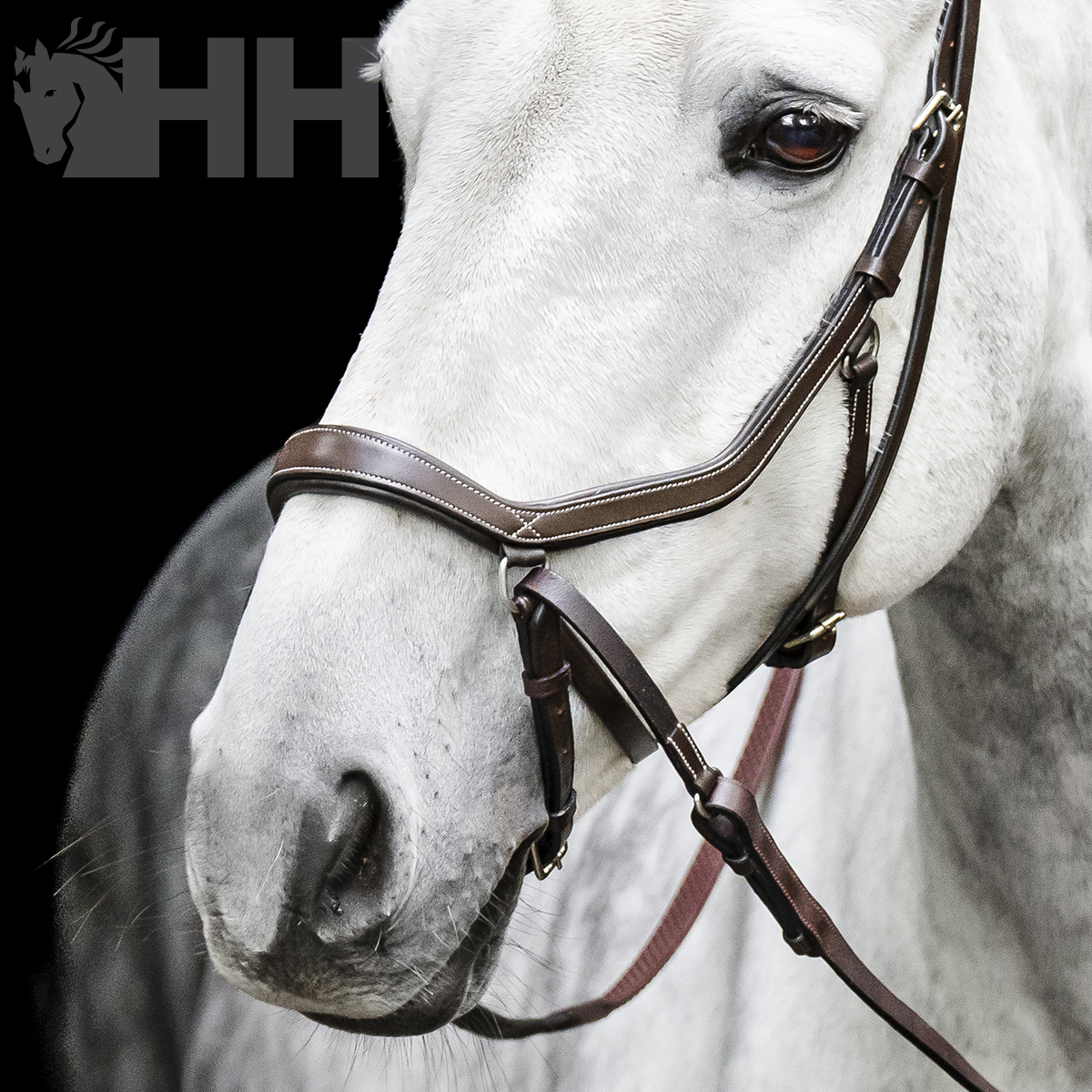 Cabedal de couro castanho em cavalo branco com fundo preto e logo HH