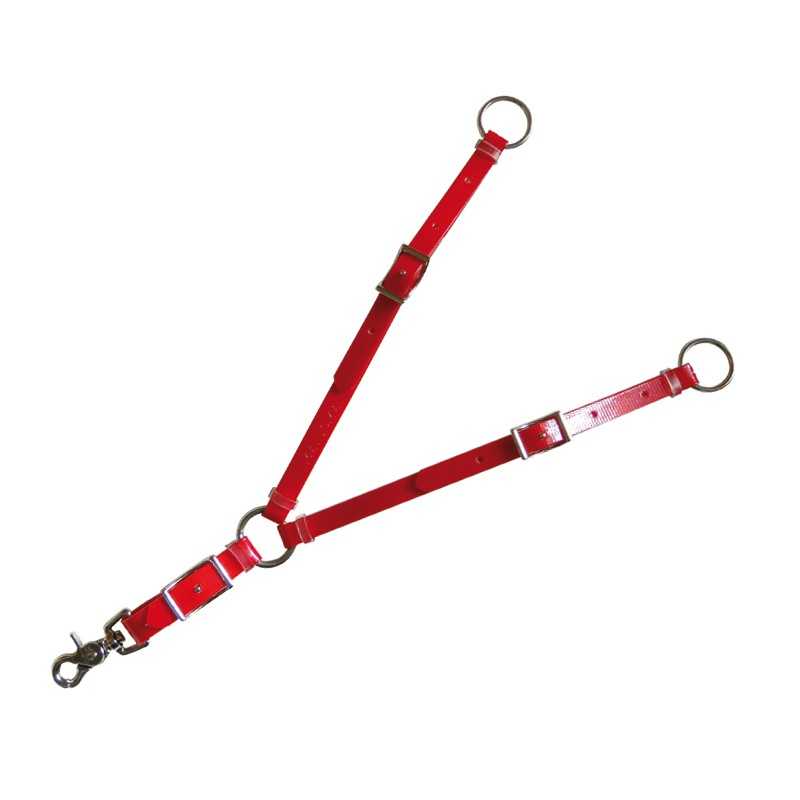 Correia ajustável vermelha para animais com argolas e fecho metálico sobre fundo branco