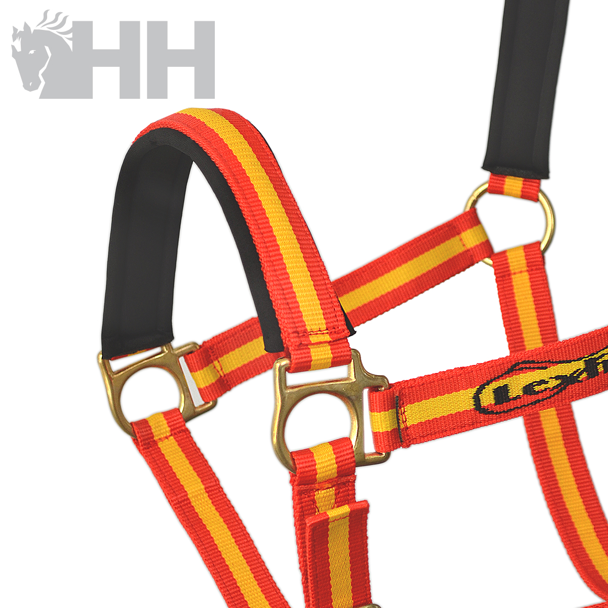 Arreio para cavalo com tiras vermelhas e amarelas e peças metálicas douradas
