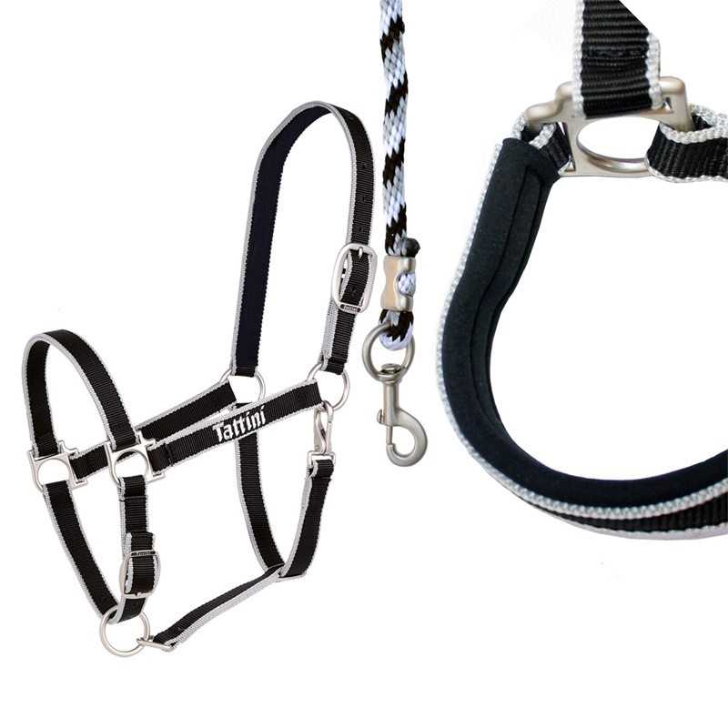 Cabresto preto com detalhes brancos e guia trançada preta e branca com mosquetão