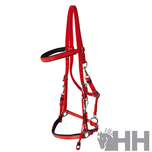 Cabresto vermelho para cavalo com fivelas metálicas prateadas