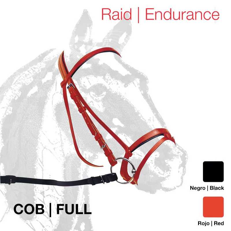 Rédea ou cabresto para cavalo vermelho e preto com ferragens metálicas sobre fundo com silhueta de cavalo