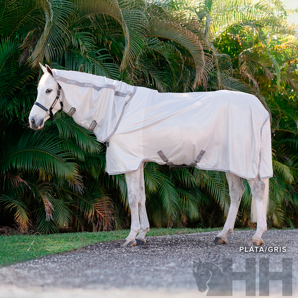 Cavalo branco com manta prata e capuz em tecido liso com fitas cinzentas e fechos de velcro