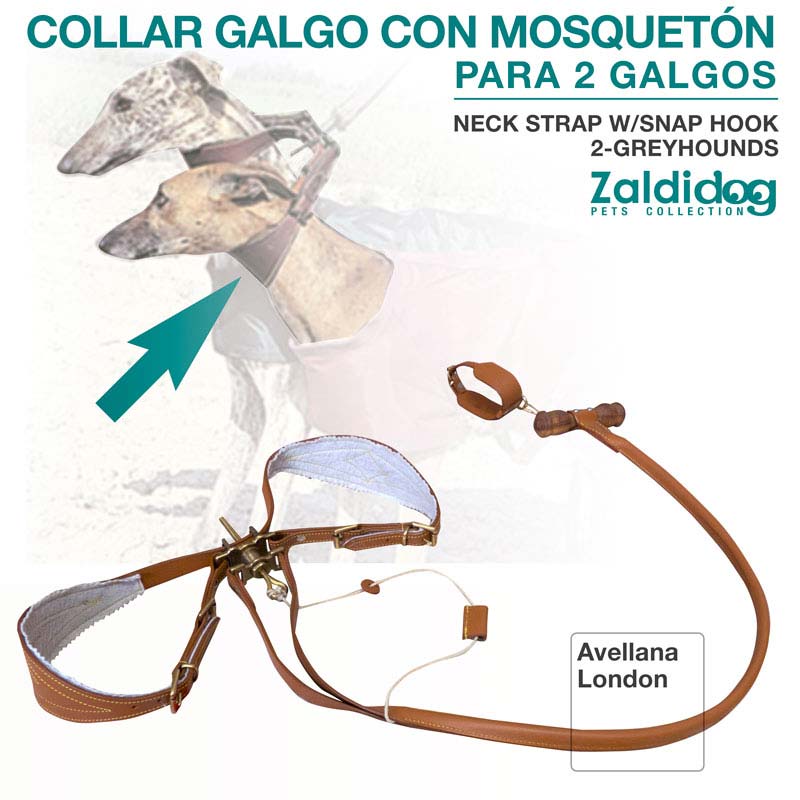 Coleira castanha para dois galgos com mosquetão e interior acolchoado