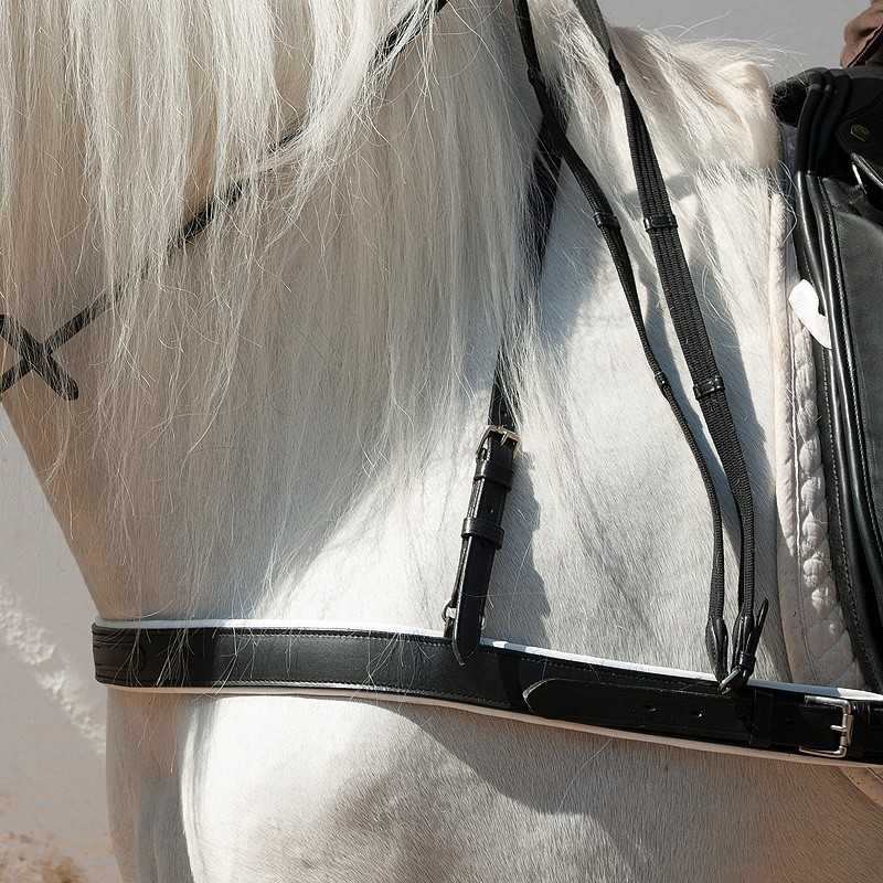 Cavalo branco com arreio e sela pretos em couro