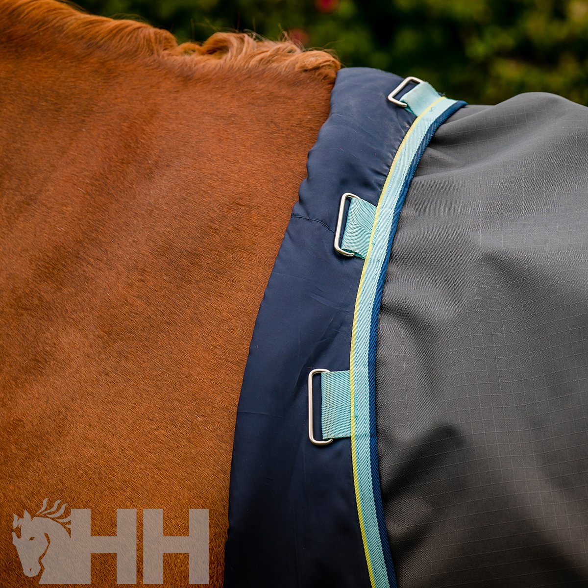 Manta preta e azul com alças metálicas numa parte de cavalo castanho