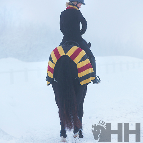 Cavalo preto com manta às riscas amarelas e vermelhas e cavaleiro em ambiente nevado