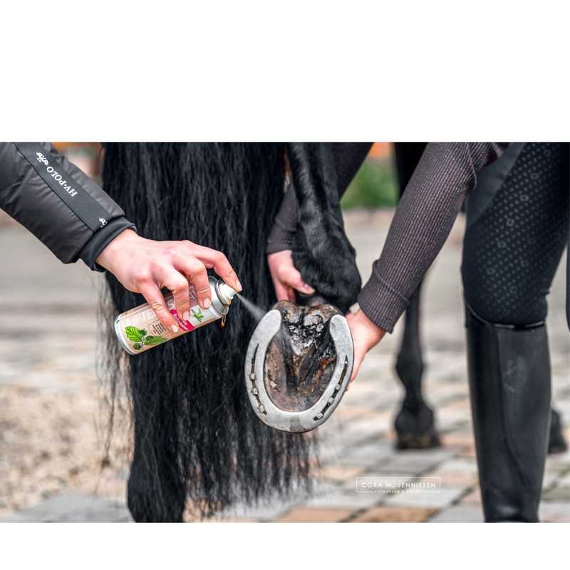 Pessoa a aplicar spray no casco de um cavalo preto