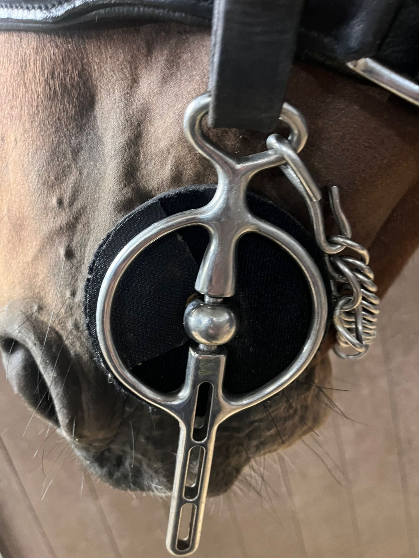 Focinho de cavalo com freio metálico prateado e detalhes em couro preto