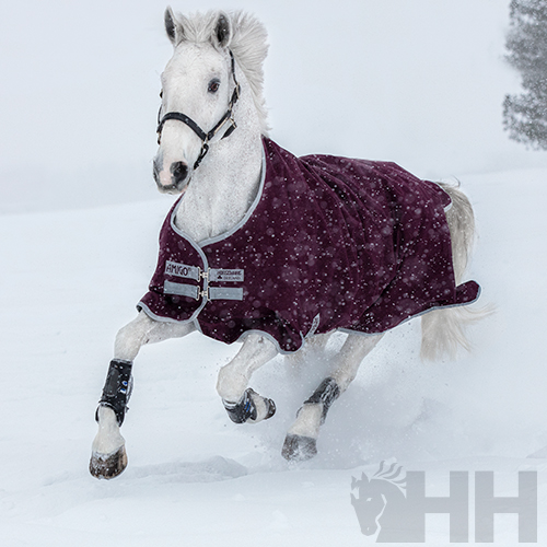 Pónei branco com manta vinheta escura a correr na neve