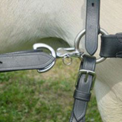 Bridagem em couro preto com fivelas metálicas num cavalo branco