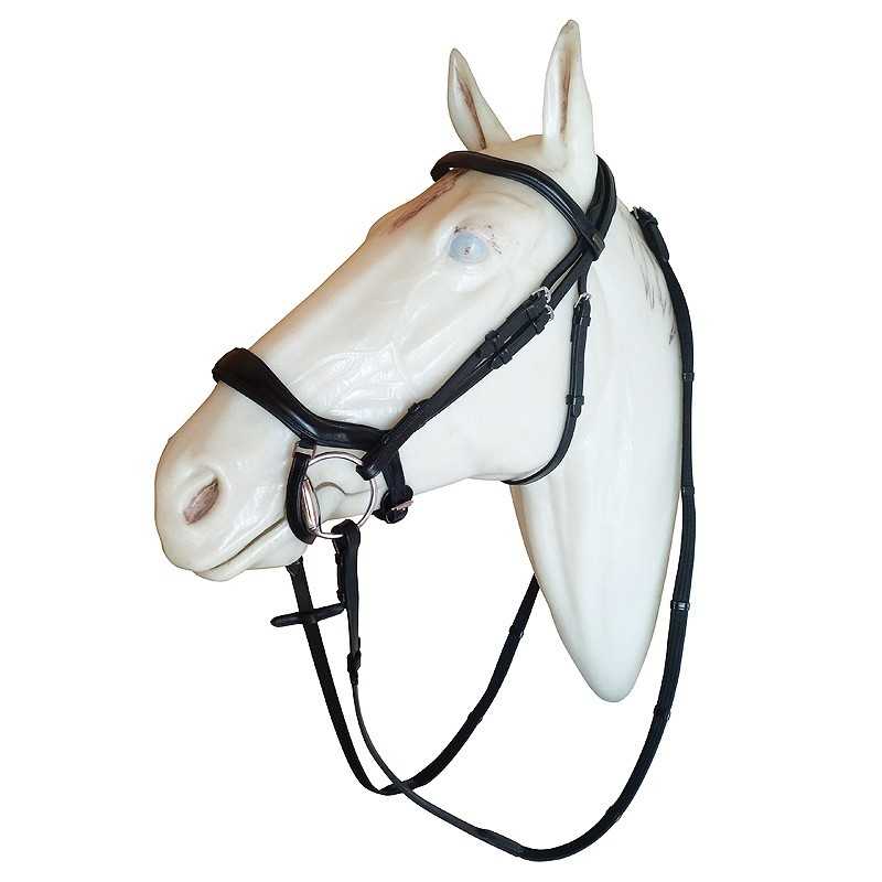 Cabeça de cavalo branco com muserola e rédeas pretas.