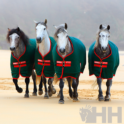 Quatro cavalos cinzentos com mantas verdes a caminhar na areia