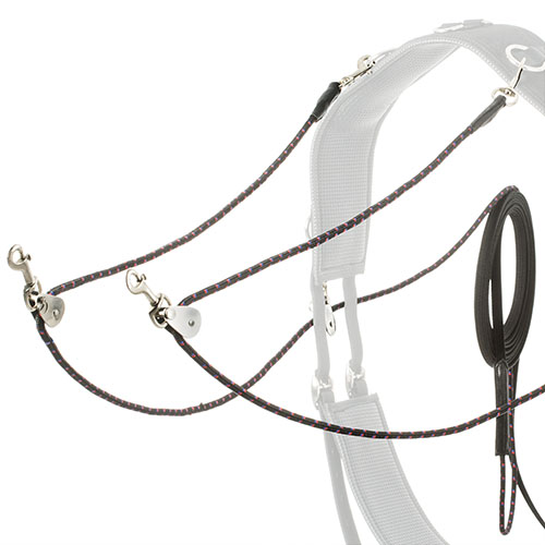 Trela dupla para cães em corda preta com detalhes vermelhos e mosquetões metálicos.