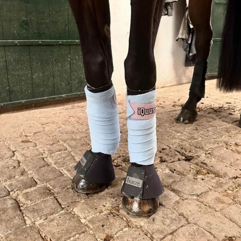 Pernas dianteiras de cavalo com ataduras brancas e botas pretas horze