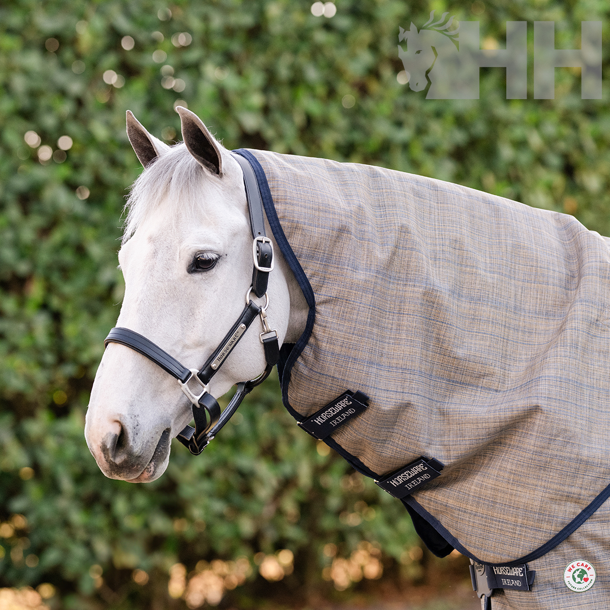 Cavalo branco com cobertura bege xadrez e cabeçada preta