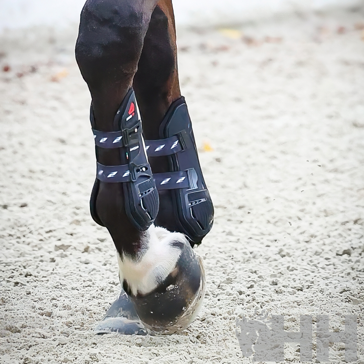 Proteções para pernas de cavalo pretas com tiras de velcro cinza sobre areia