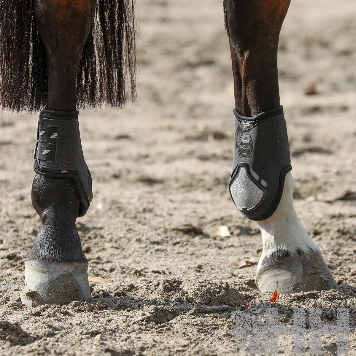 Pernas dianteiras de cavalo com proteções negras em piso arenoso