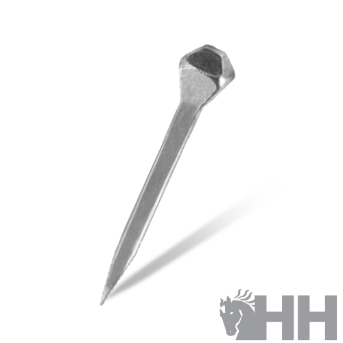 Prego metálico com cabeça hexagonal prateada sobre fundo branco