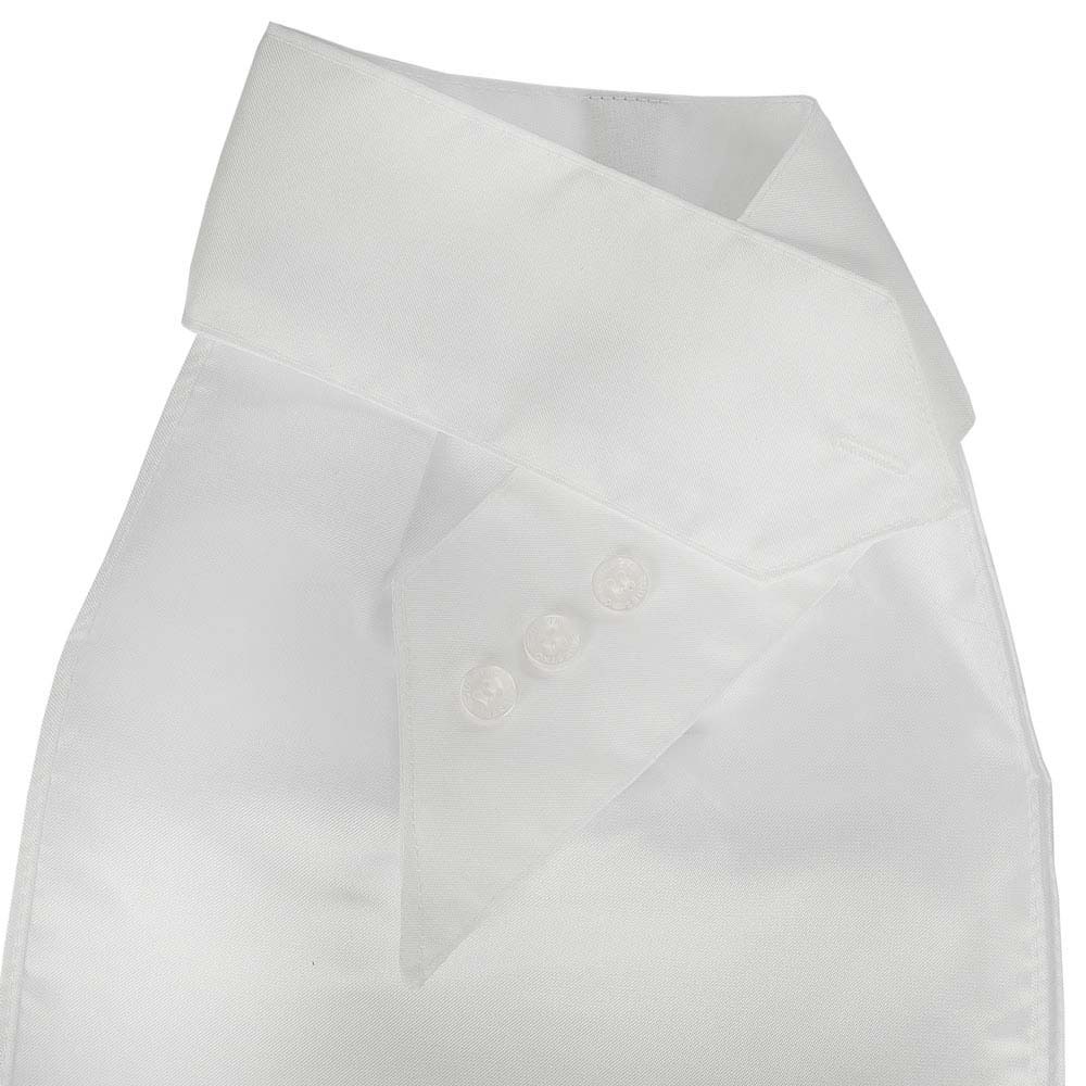 Gola branca de camisa com três botões transparentes