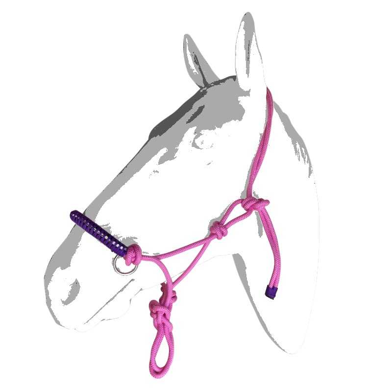 Cavelete para cavalo rosa com detalhes roxos num modelo branco