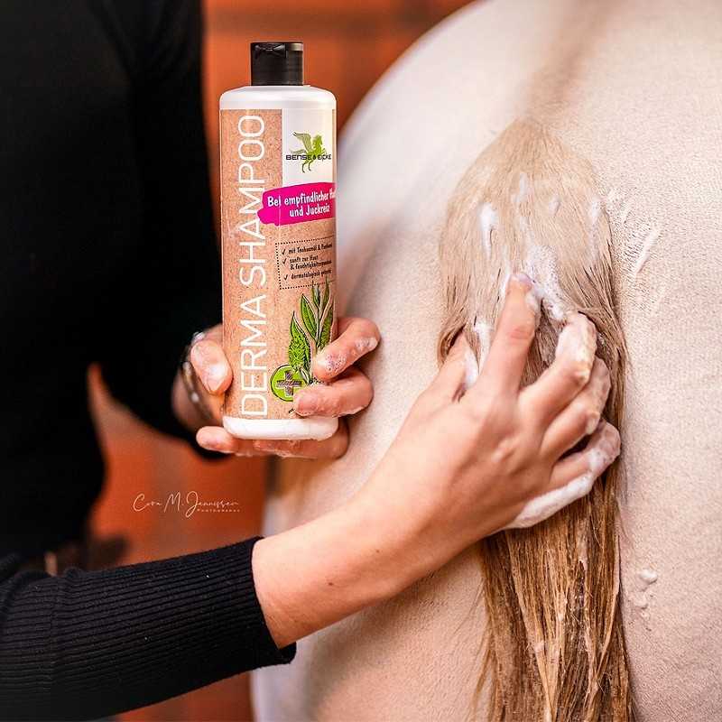 Frasco de shampoo branco e mão a lavar o pelo de um cavalo castanho claro