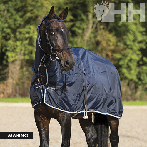 Cavalo preto com manta azul-marinho em ambiente exterior
