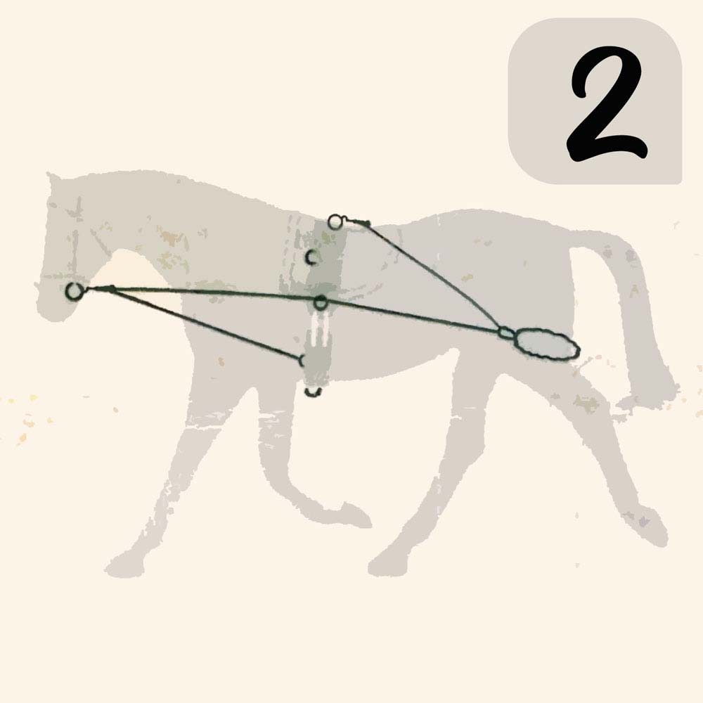Desenho esquemático de cavalo com arreios e número 2 num fundo claro