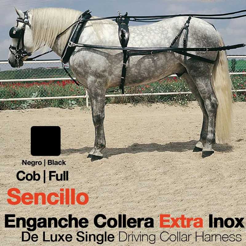 Cavalo cinzento com arreios pretos e texto promocional sobre arreios