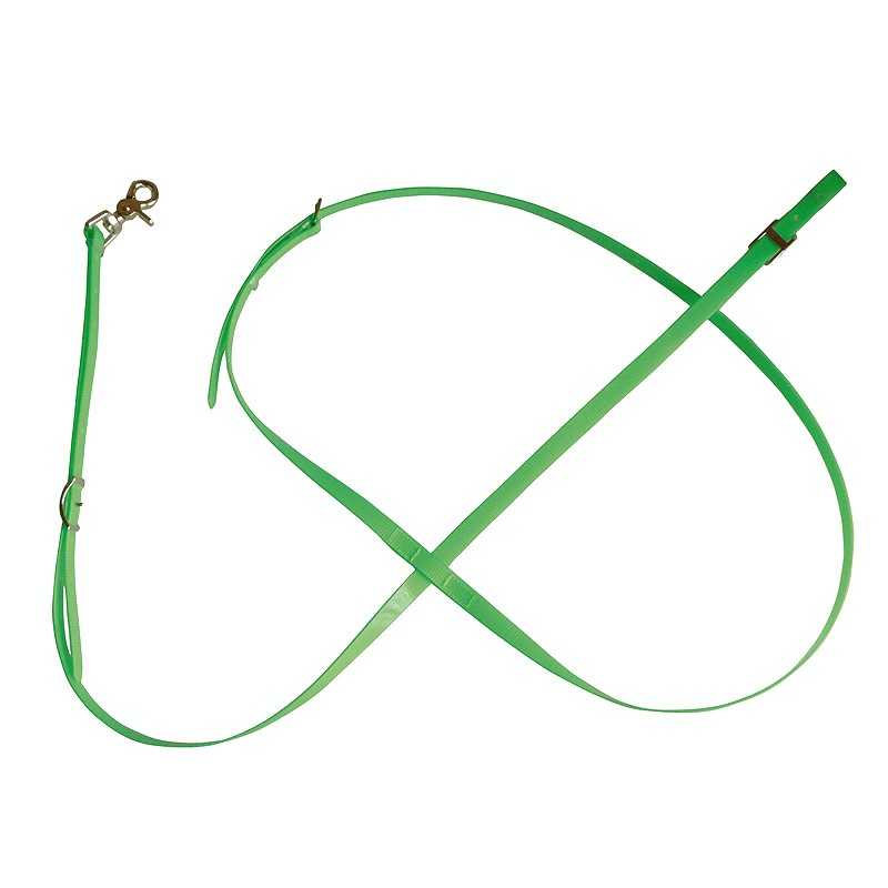 Trela de cão verde com fecho metálico e fivela ajustável