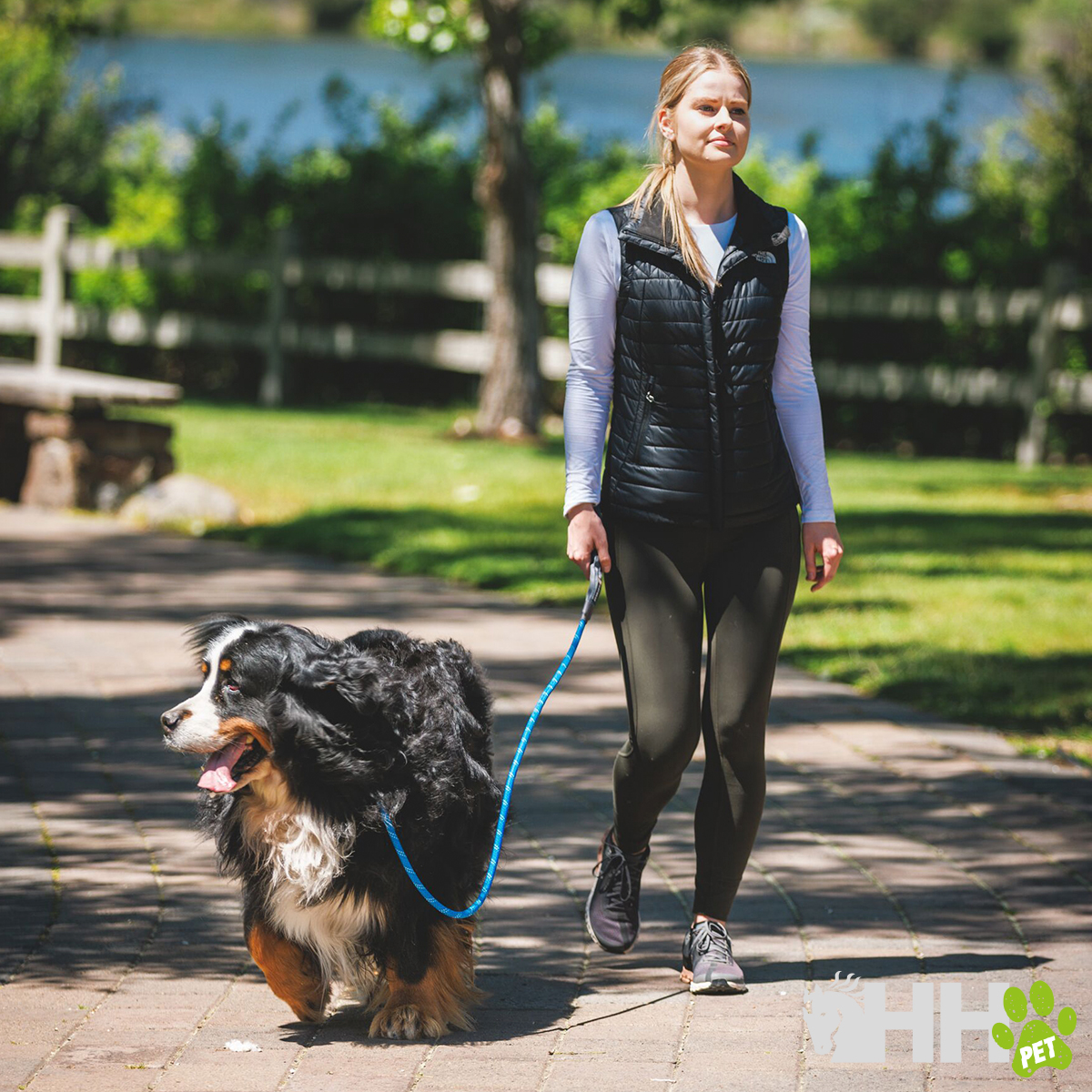 Mulher passeando cão Bernese Mountain Dog num parque com roupa desportiva e colete preto